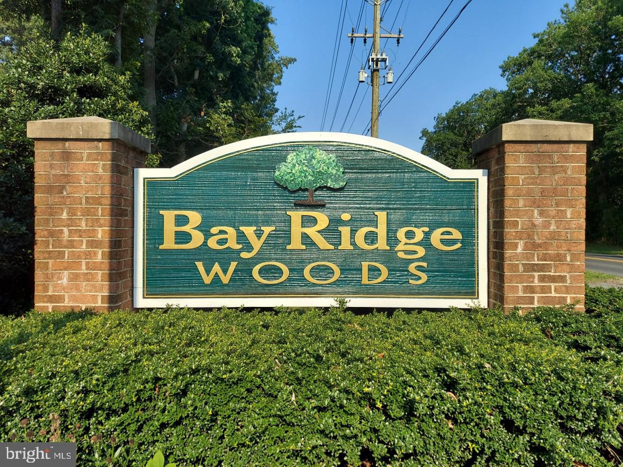 33791 Bay Ridge Lane Lewes, DE 19958 - Photo 64 of 64 Bay Ridge Woods - The Place you Will Want to Live!