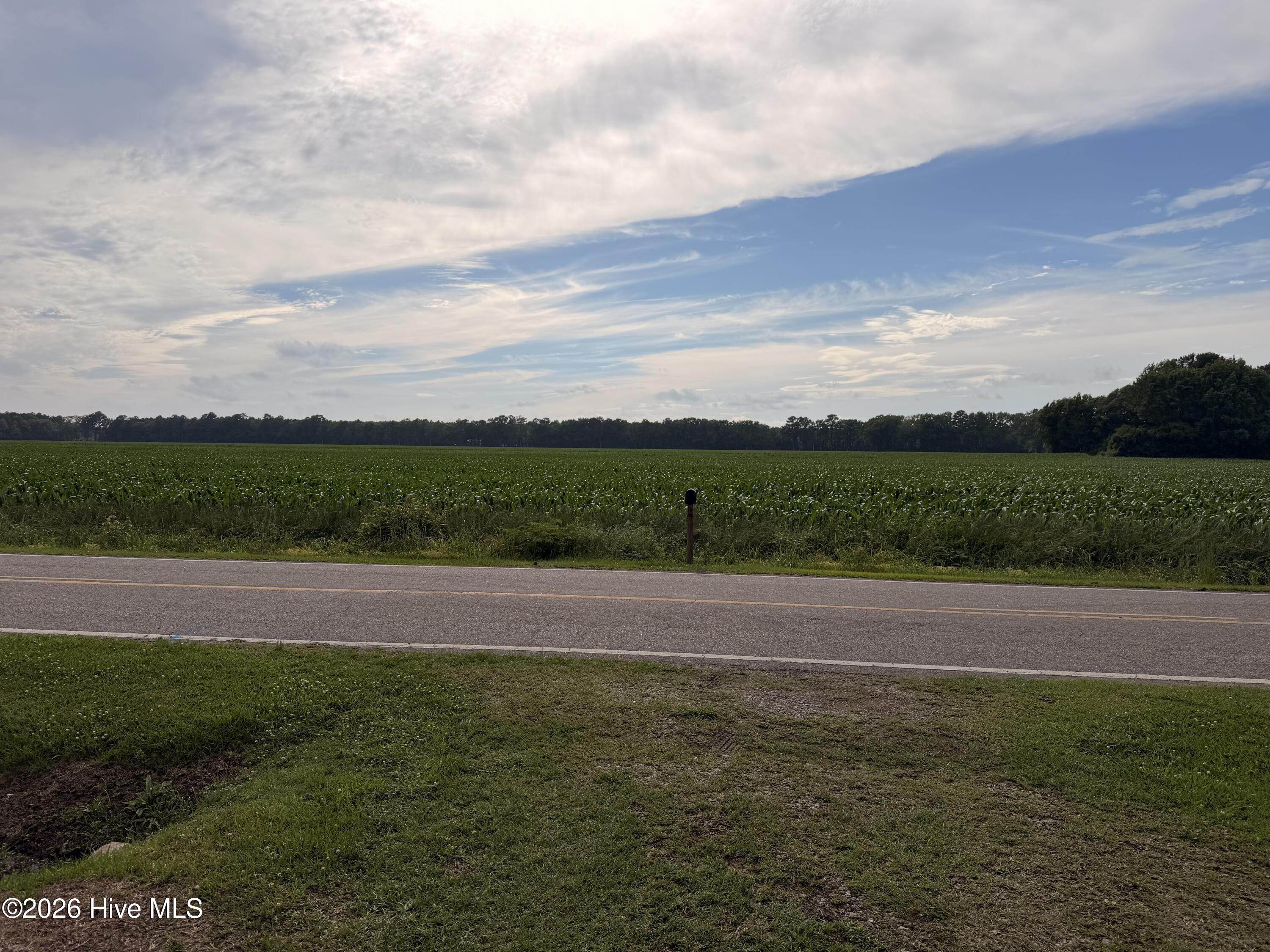 228 North River Road Camden, NC 27921 - Photo 23 of 26 farm view