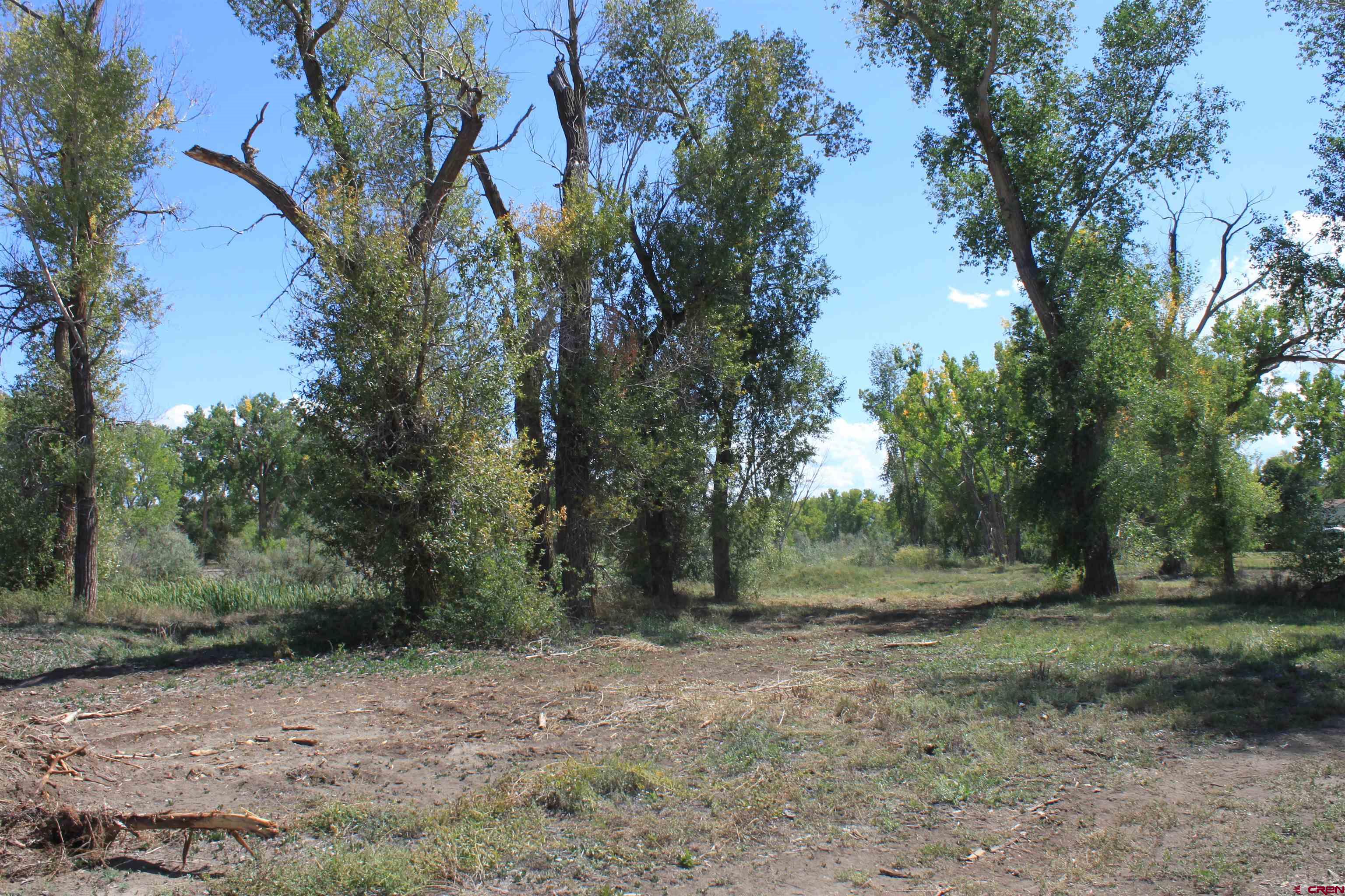Tbd 6360th Road Montrose, CO 81403 - Photo 12 of 16 a view of outdoor space with trees