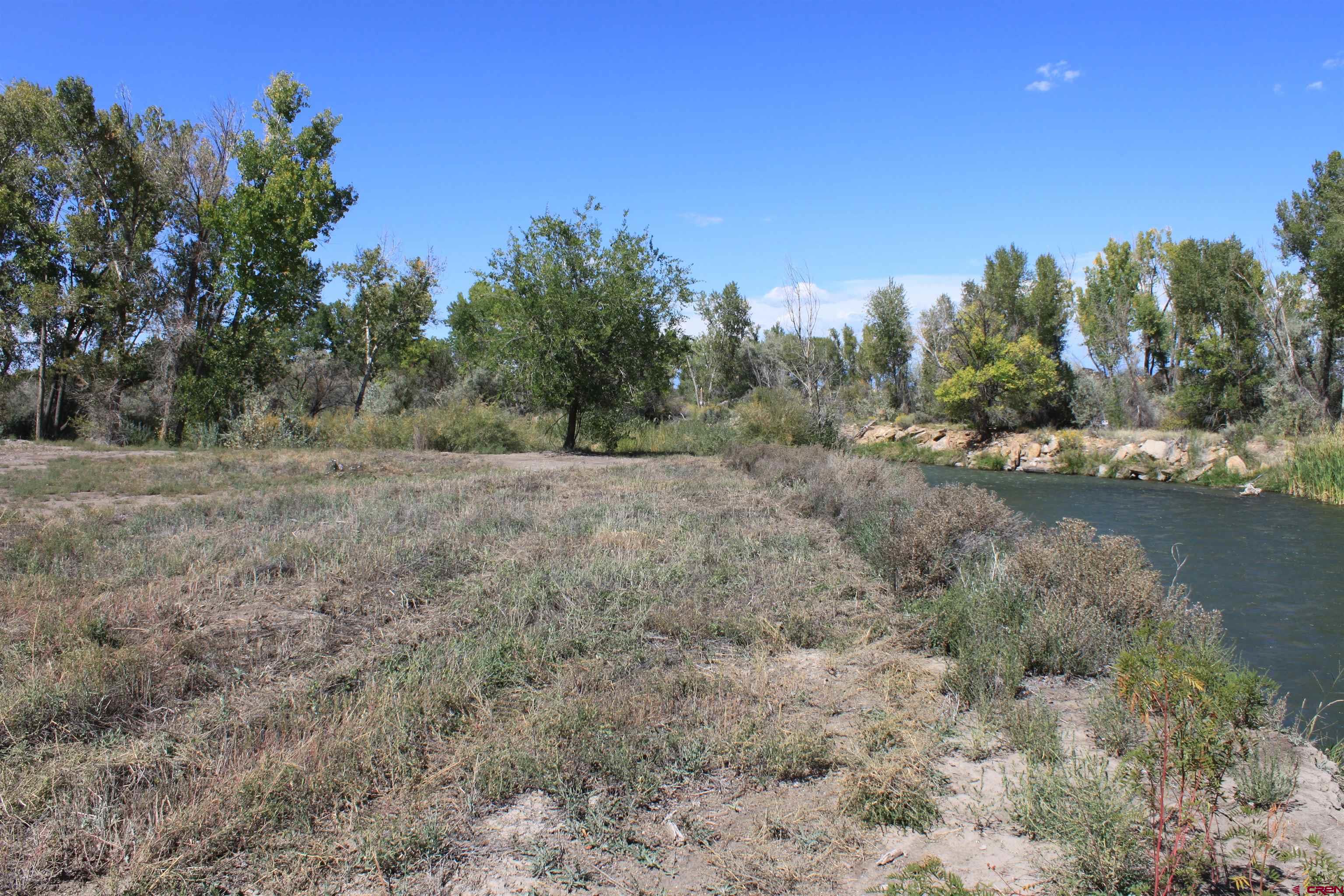 Tbd 6360th Road Montrose, CO 81403 - Photo 13 of 16 a view of a field with trees in the background