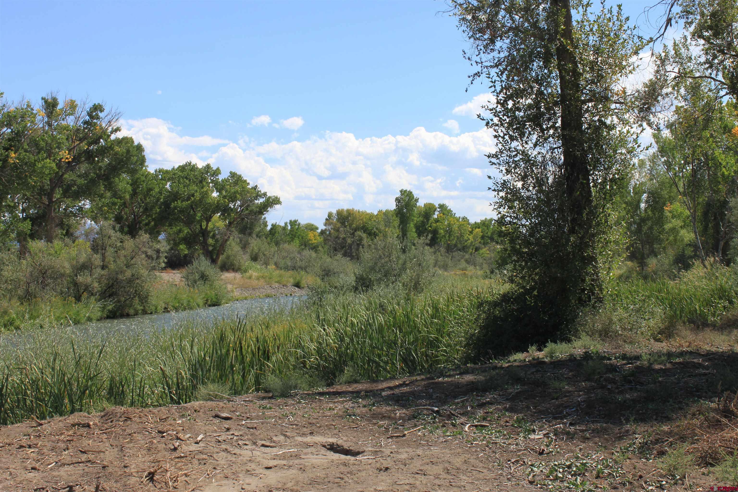 Tbd 6360th Road Montrose, CO 81403 - Photo 14 of 16 a view of a yard with a tree
