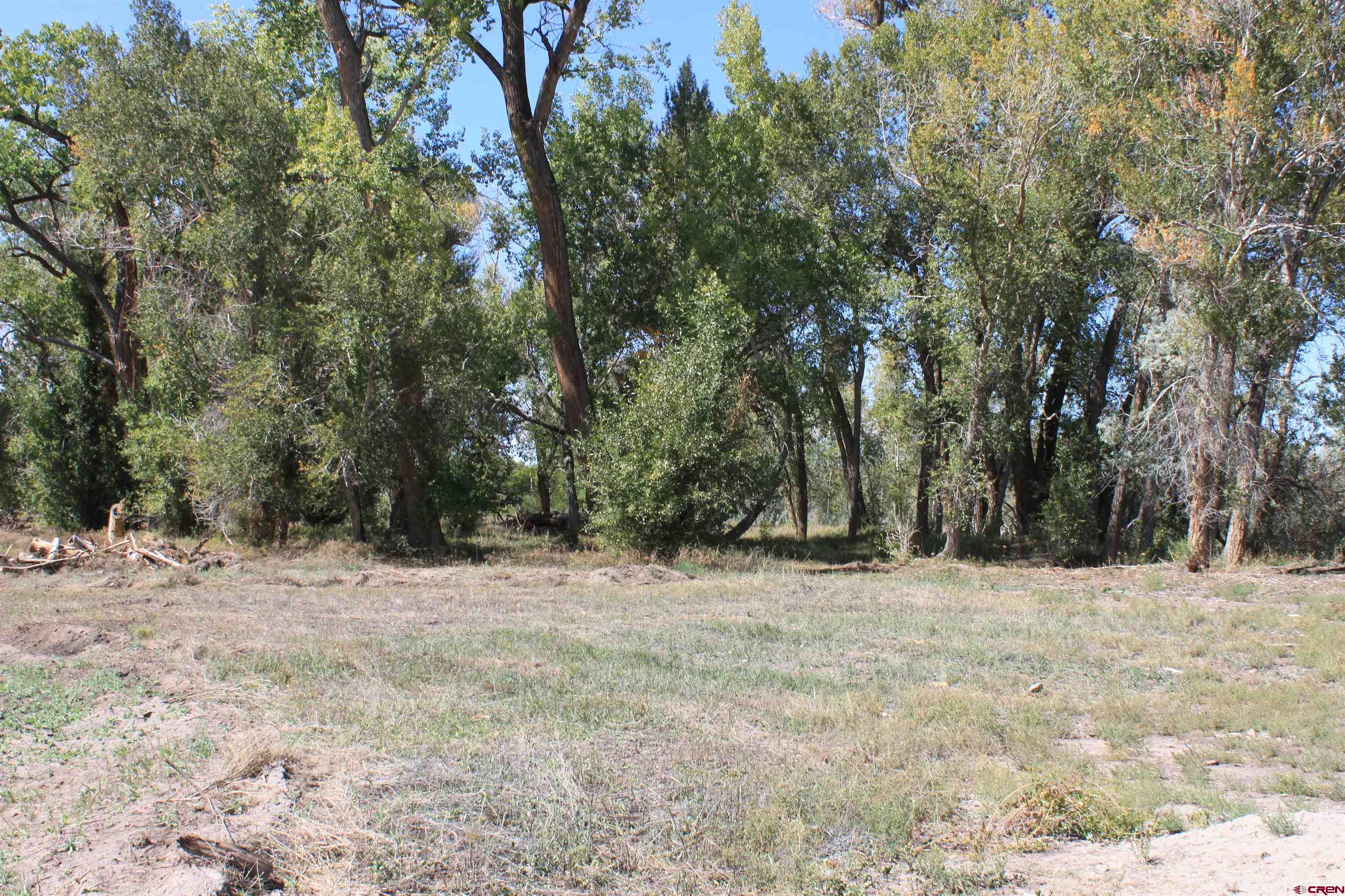 Tbd 6360th Road Montrose, CO 81403 - Photo 15 of 16 a view of a yard with trees