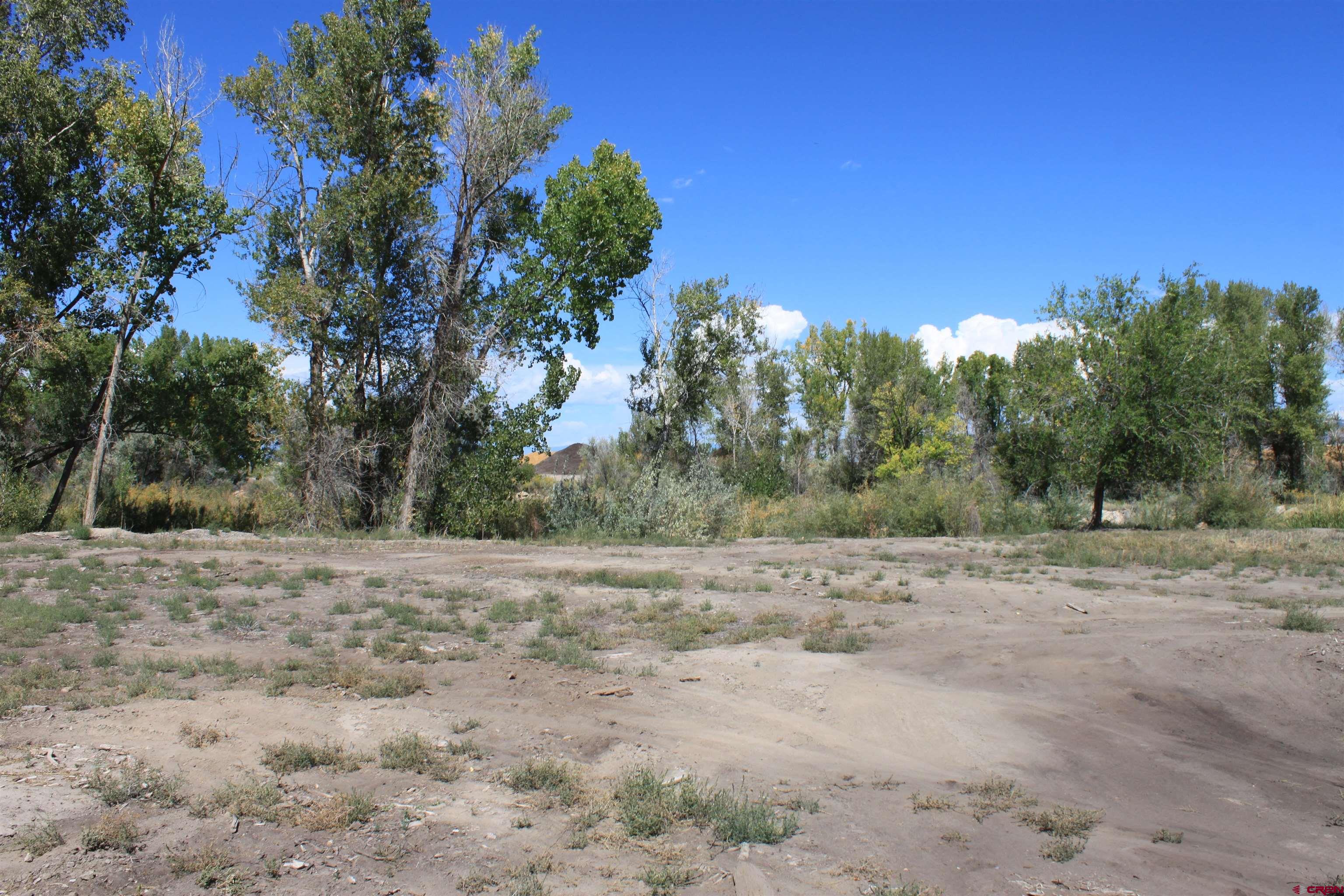Tbd 6360th Road Montrose, CO 81403 - Photo 16 of 16 a view of dirt and trees