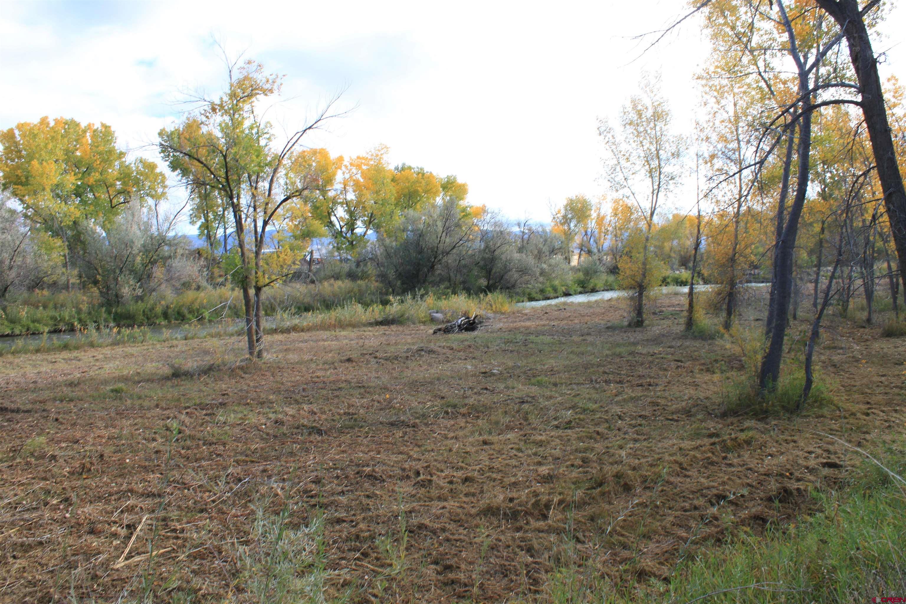 Tbd 6360th Road Montrose, CO 81403 - Photo 5 of 16 a view of outdoor space with trees