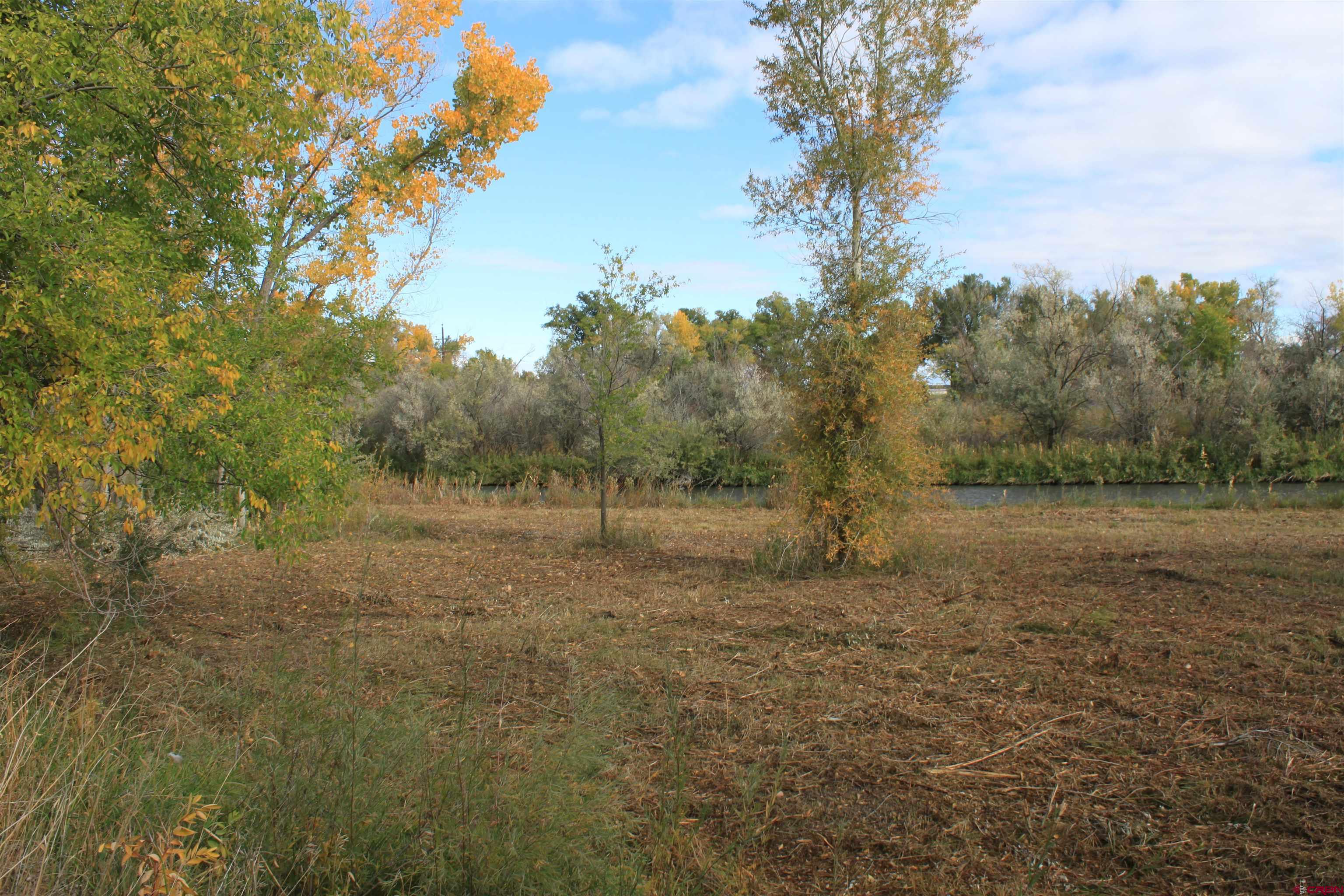 Tbd 6360th Road Montrose, CO 81403 - Photo 6 of 16 a big yard with lots of green space