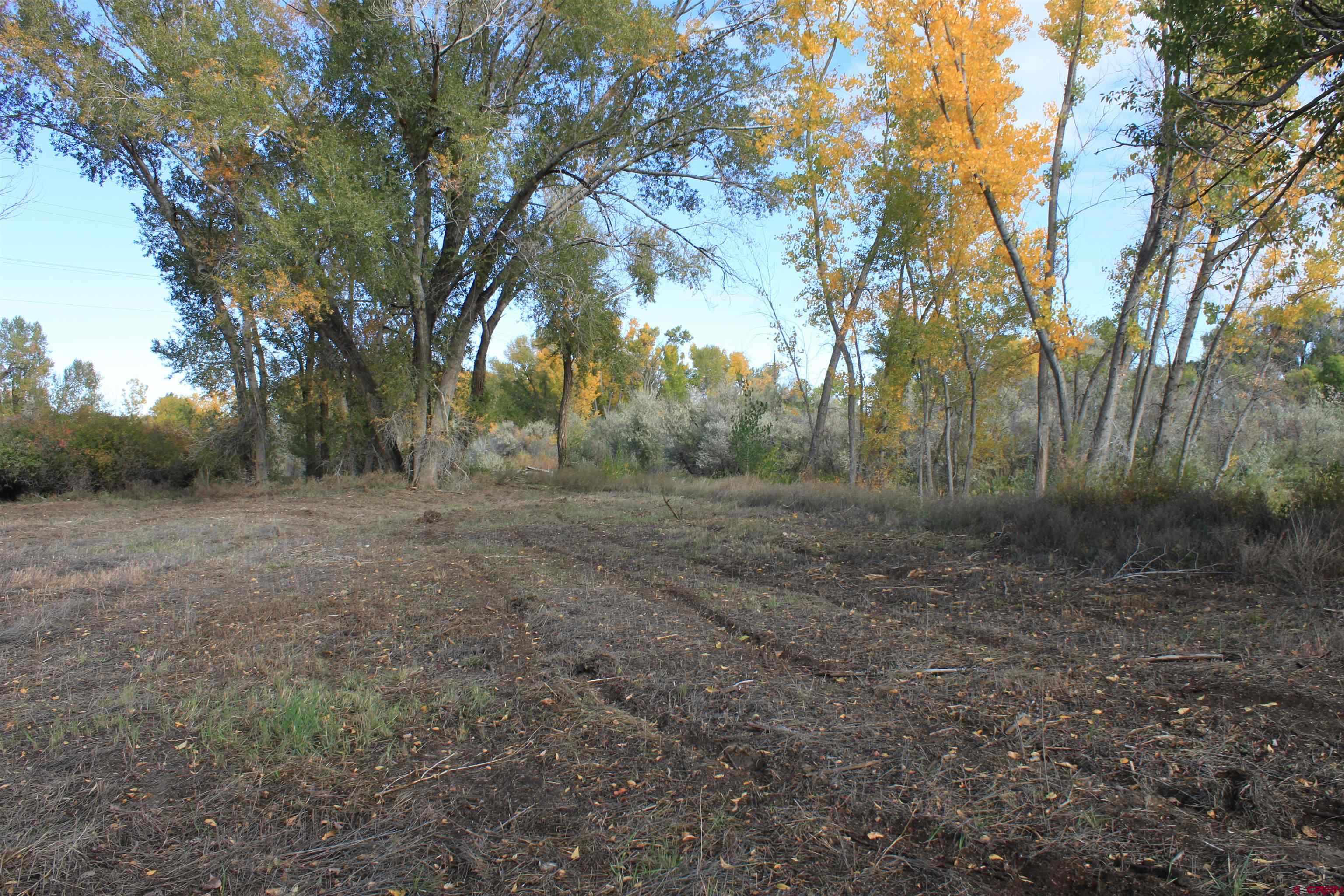 Tbd 6360th Road Montrose, CO 81403 - Photo 9 of 16 a view of outdoor space with trees all around