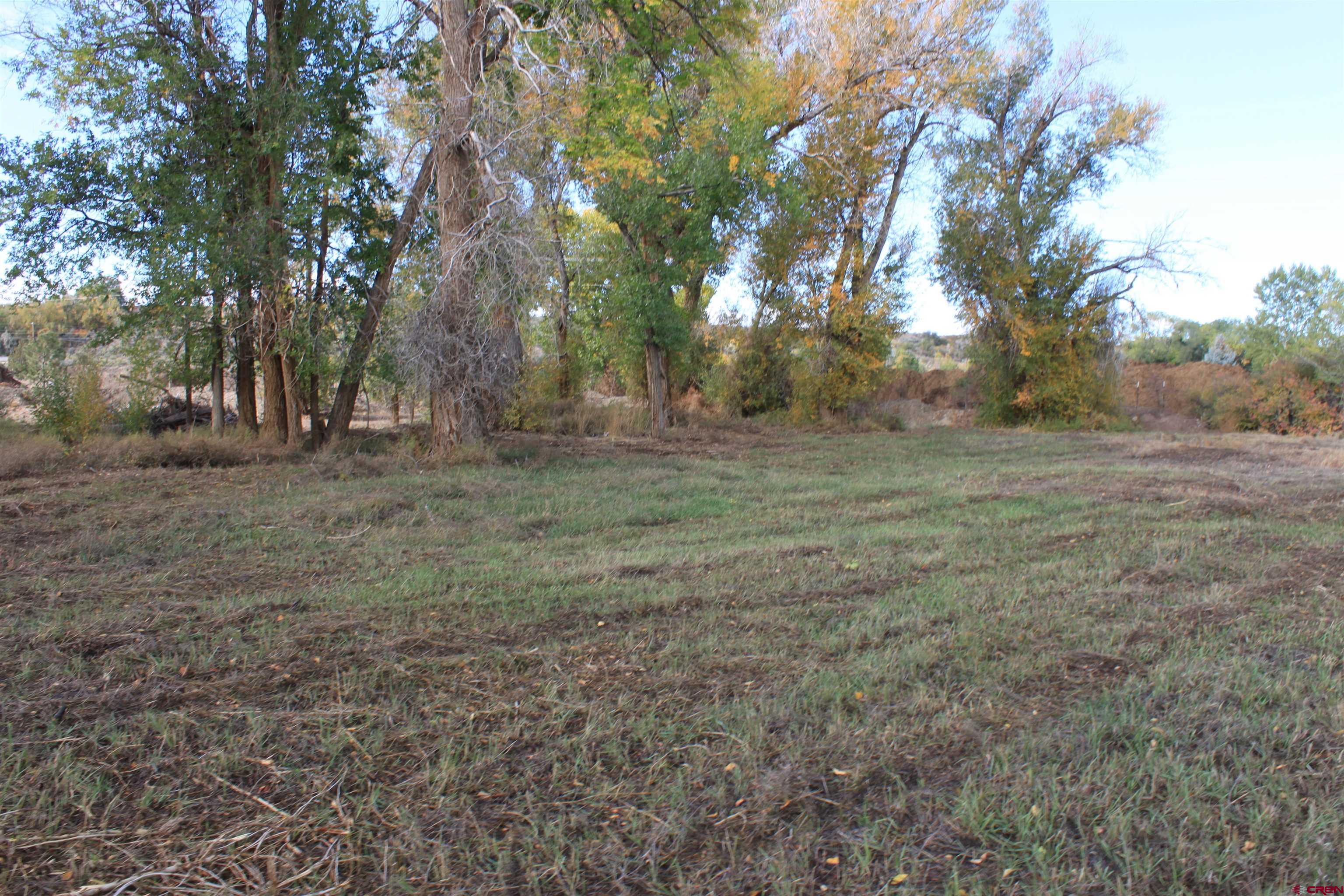Tbd 6360th Road Montrose, CO 81403 - Photo 10 of 16 a view of a big yard with trees