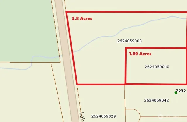 a close up of a tree