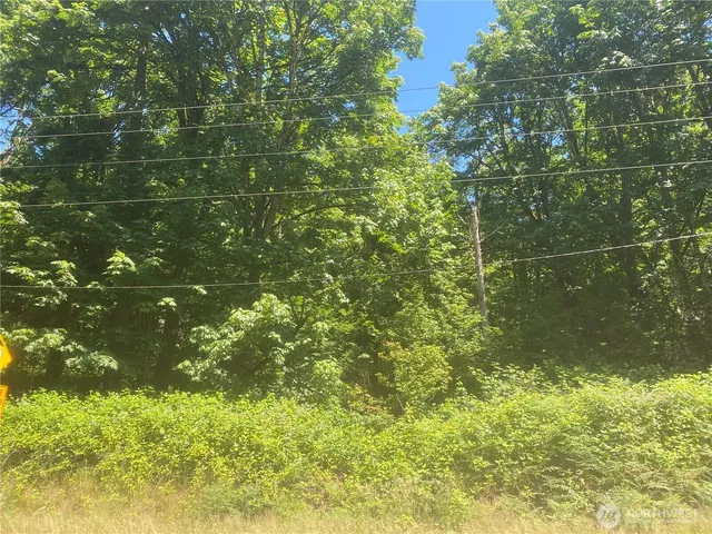 a view of a yard and basketball court