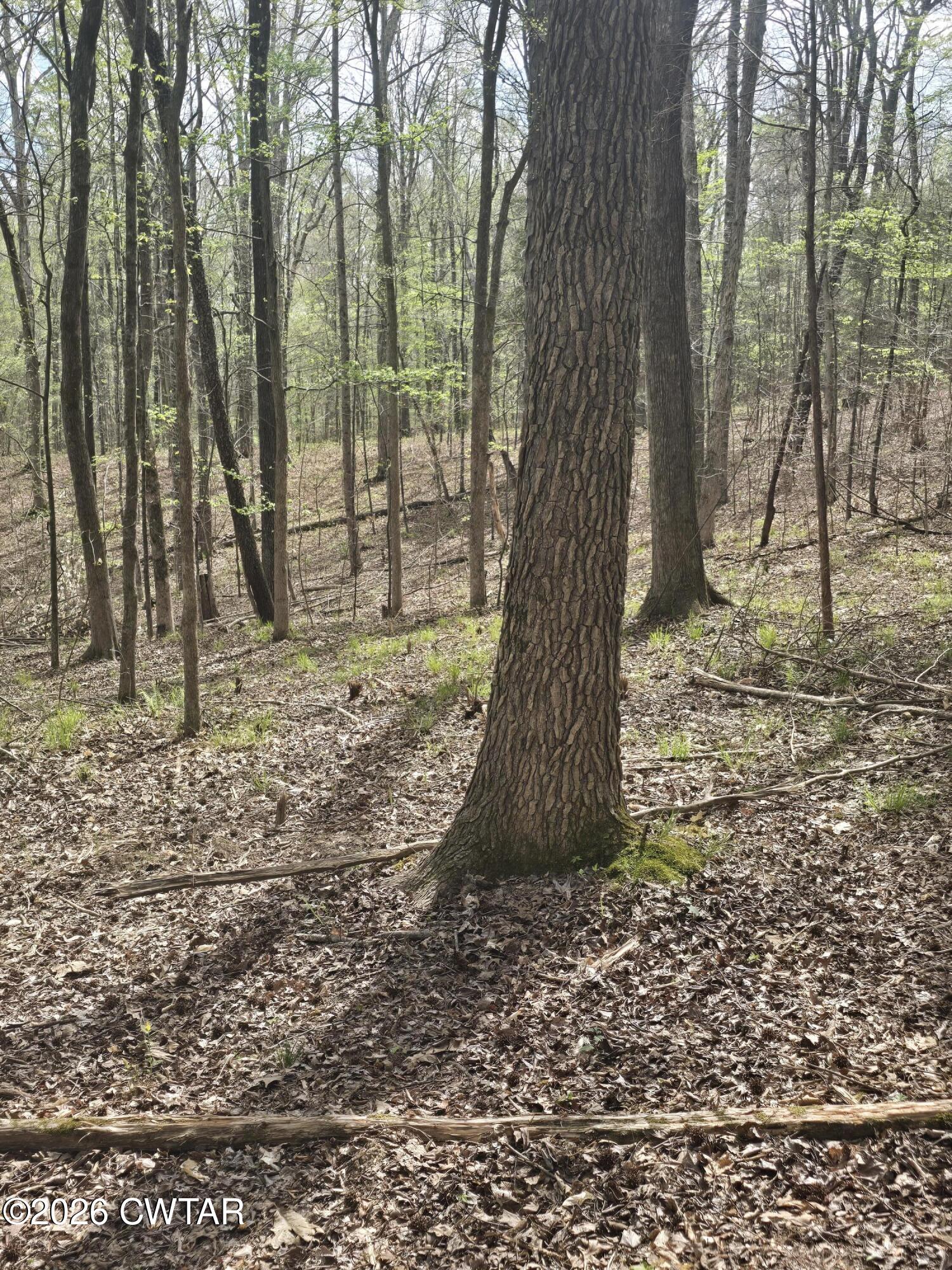 2700 Independence Road Huntingdon, TN 38344 - Photo 2 of 4 20260401_144117