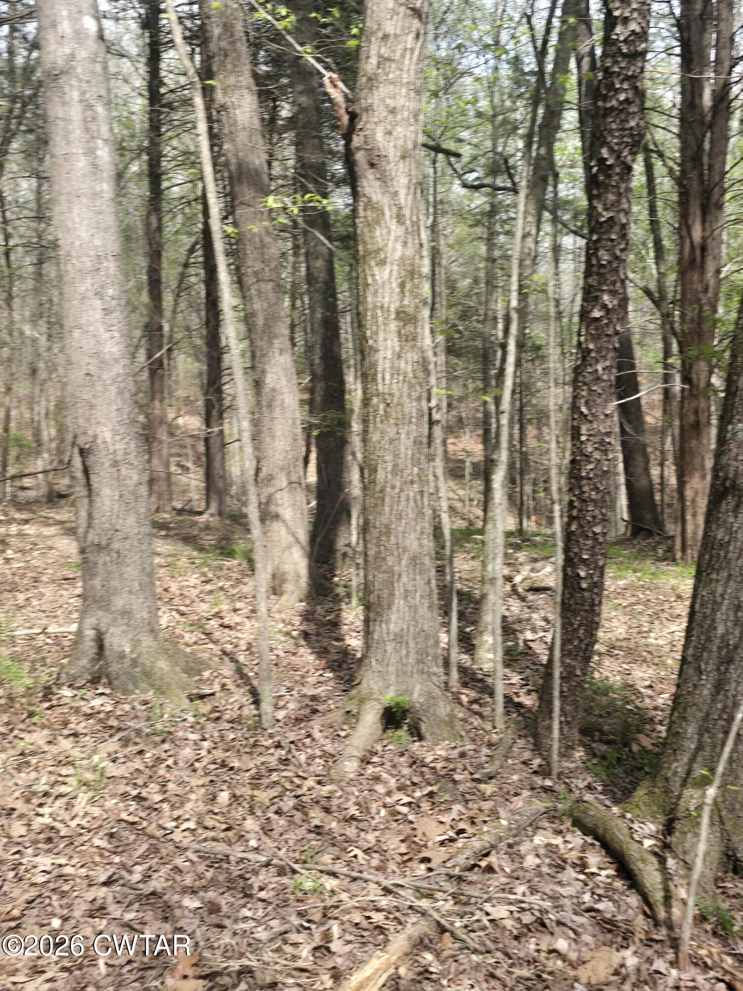 2700 Independence Road Huntingdon, TN 38344 - Photo 3 of 4 20260401_144125