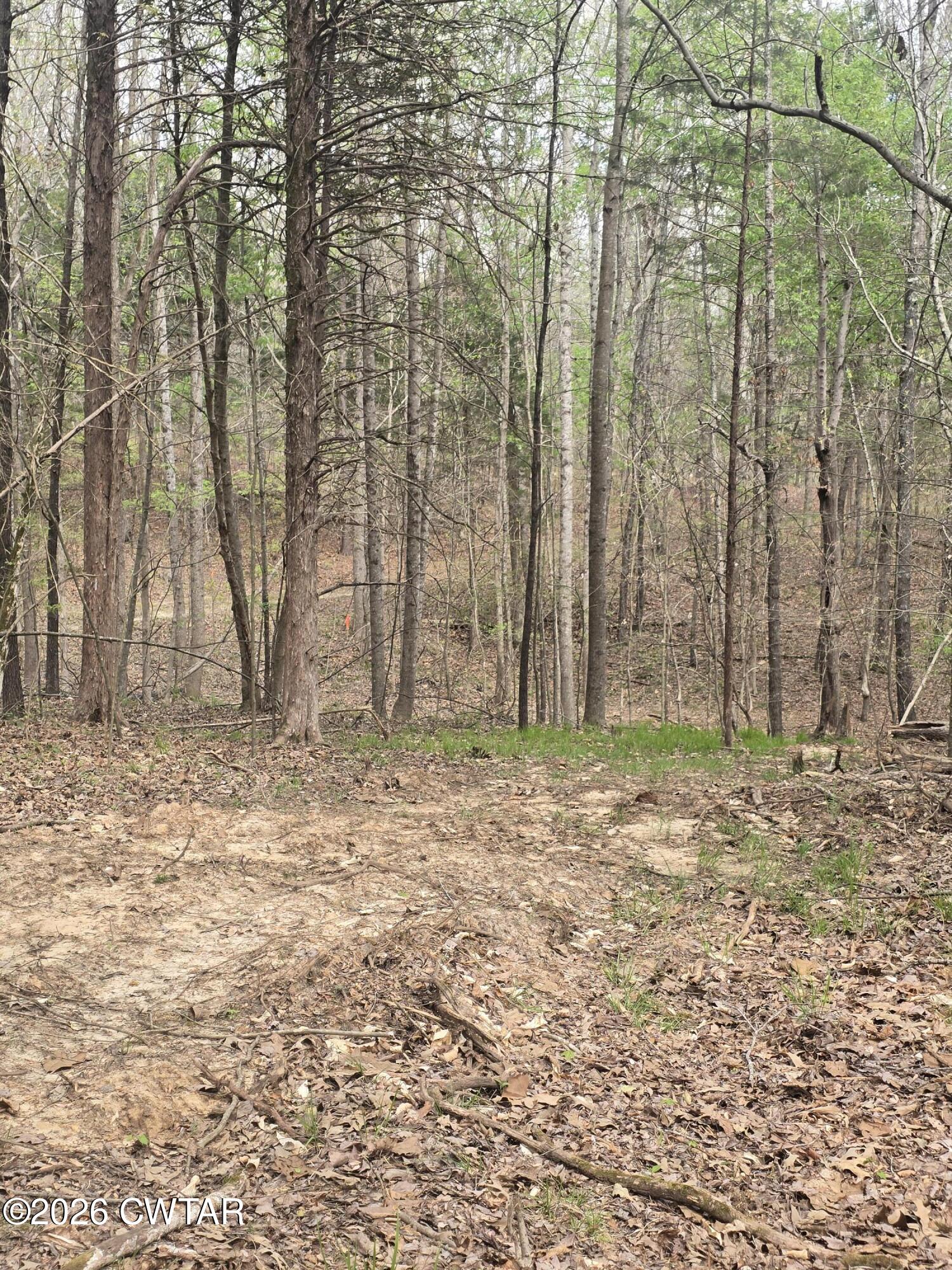 2700 Independence Road Huntingdon, TN 38344 - Photo 4 of 4 20260401_144248