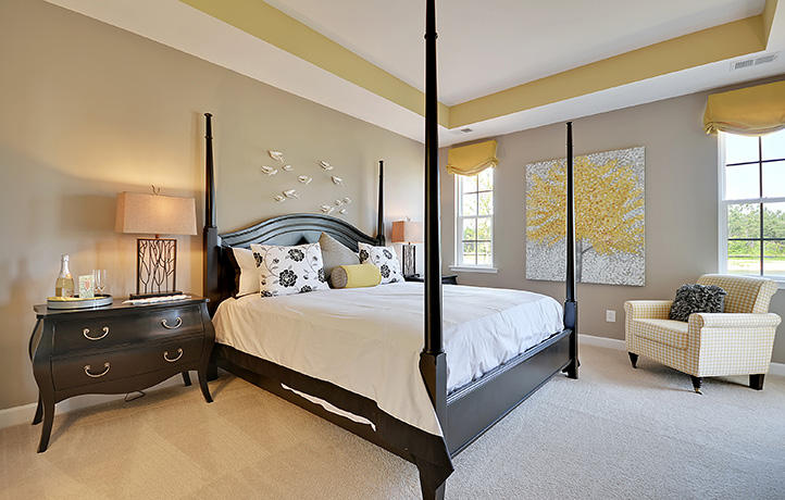302 Bracken Fern Road Moncks Corner, SC 29461 - Photo 4 of 15 jarvis master bedroom