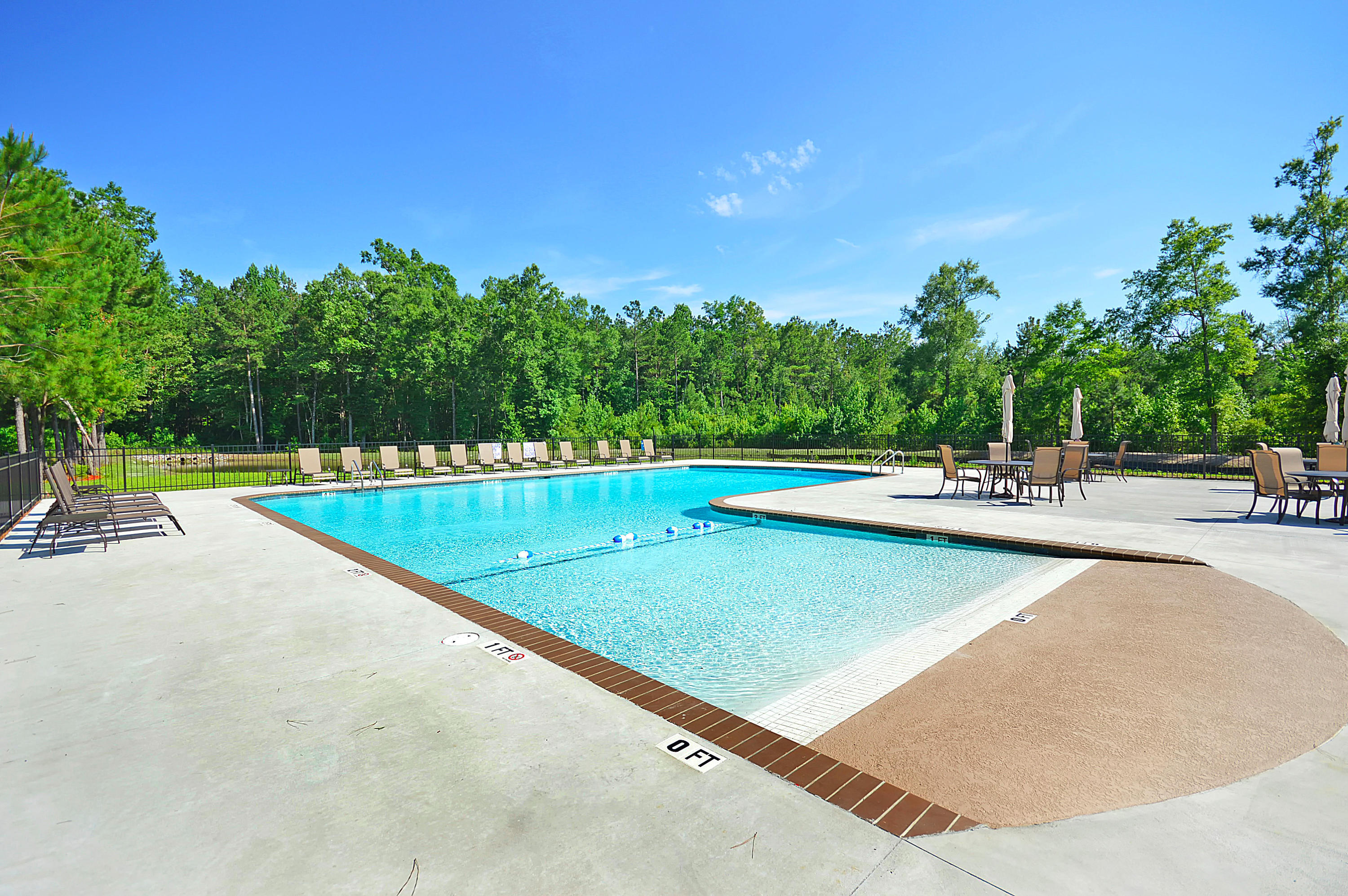302 Bracken Fern Road Moncks Corner, SC 29461 - Photo 9 of 15 3pool1 FS