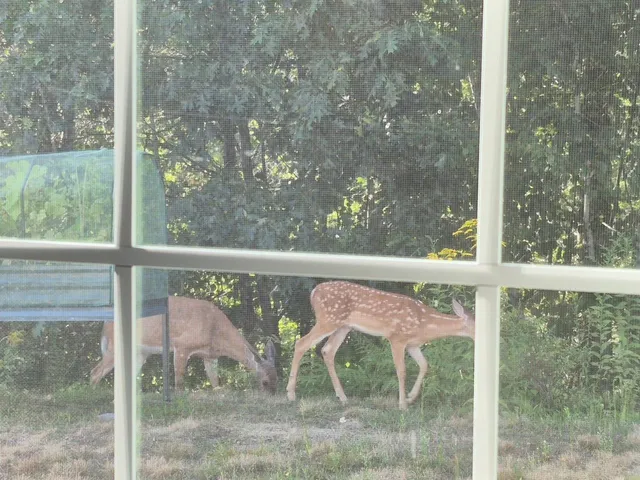 $419,900 | 12 Tarah Way, Fremont, NH 03044