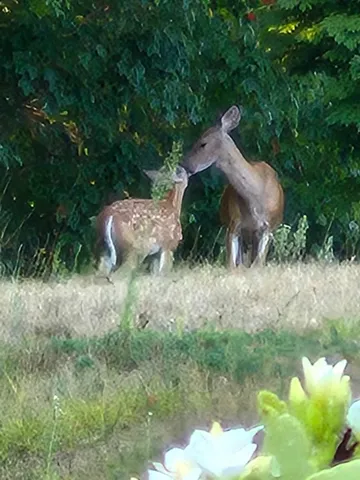 $419,900 | 12 Tarah Way, Fremont, NH 03044