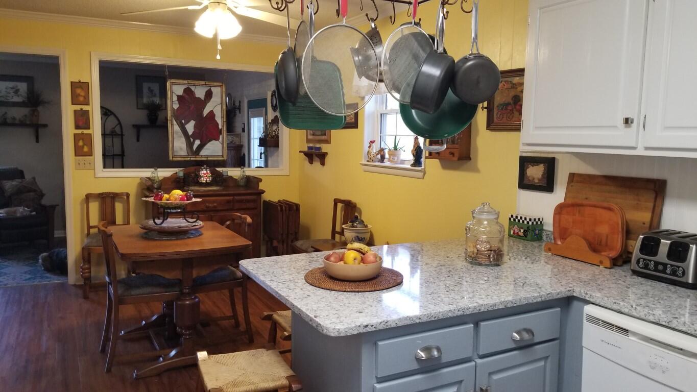 595 Broyles Road Spring City, TN 37381 - Photo 14 of 60 20210427_192314 (Medium)