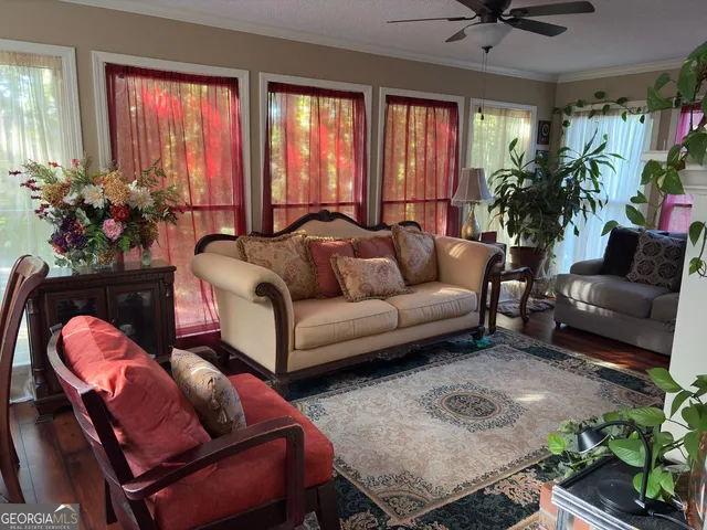 a living room with furniture and a potted plant
