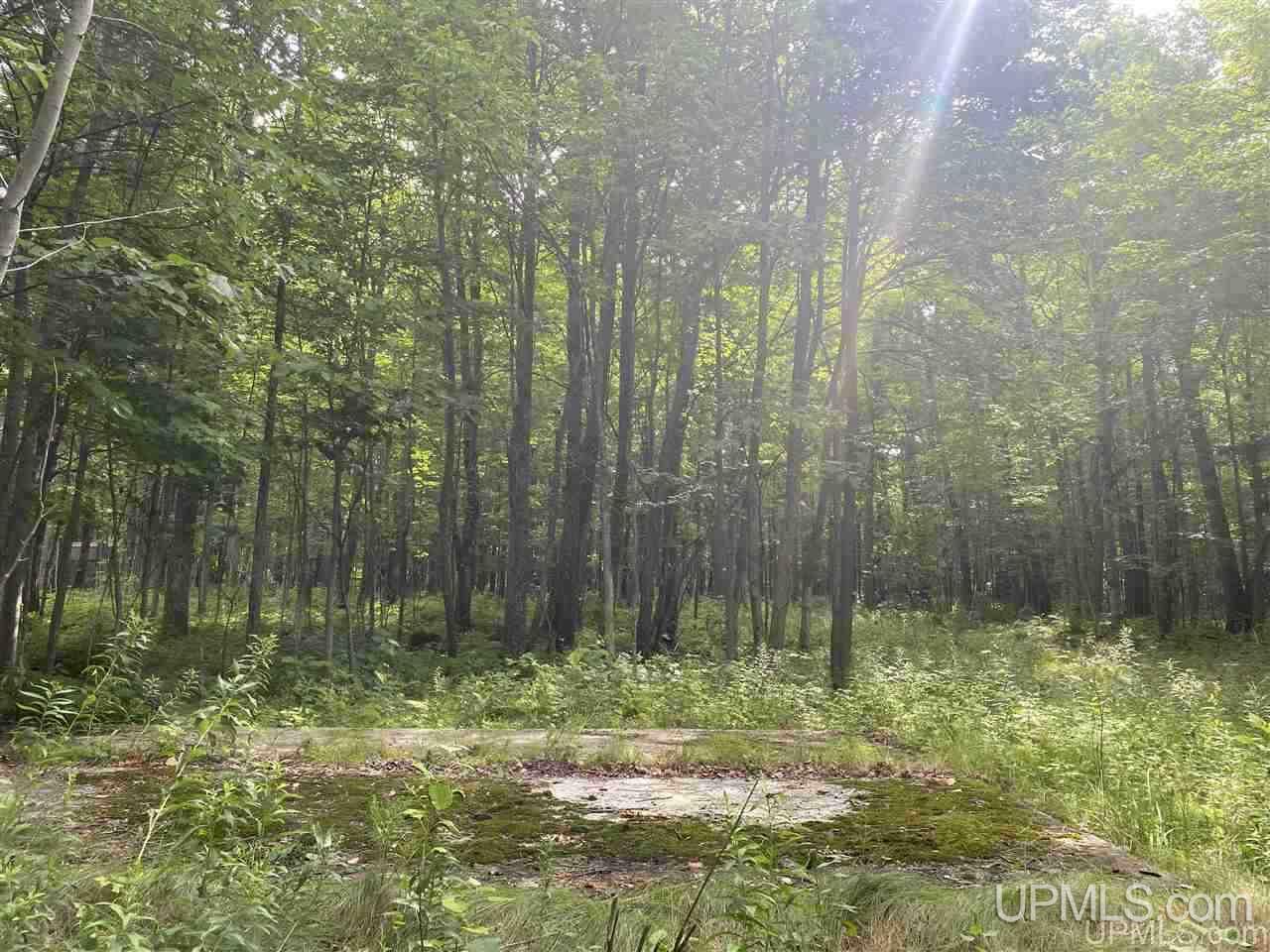 Lot #b Lot Road Marenisco, MI 49947 - Photo 7 of 11