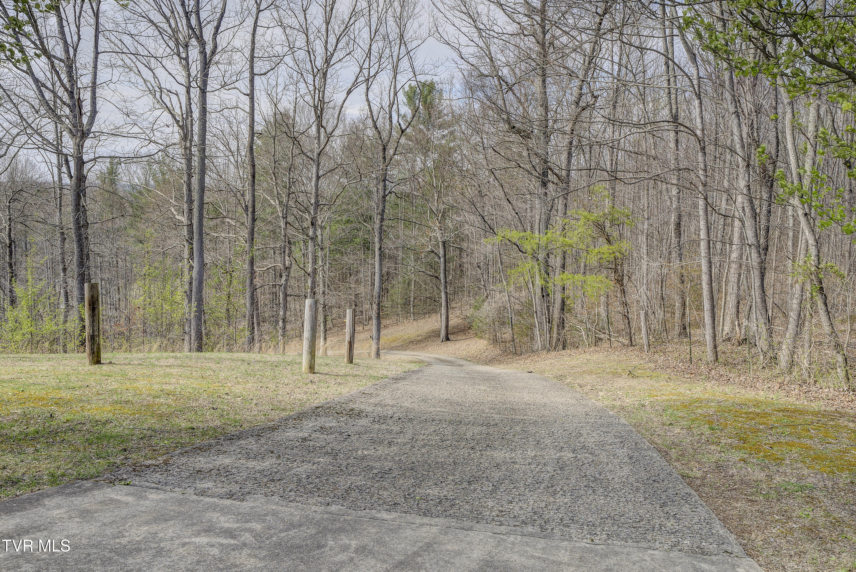 1820 Frank Roberts Road Afton, TN 37616 - Photo 30 of 63 FrankRoberts-13