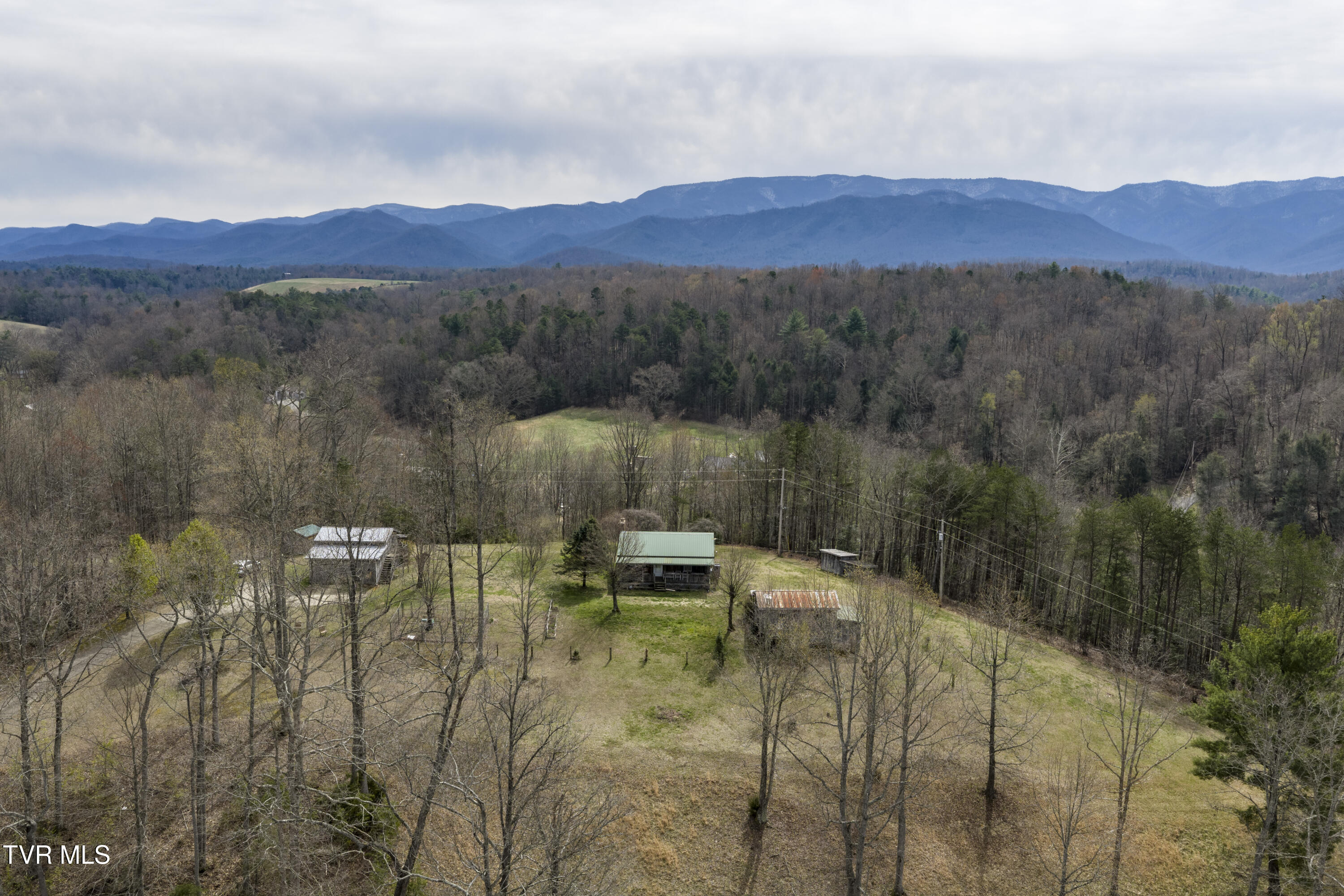 1820 Frank Roberts Road Afton, TN 37616 - Photo 4 of 63 Frank-Aerials-3