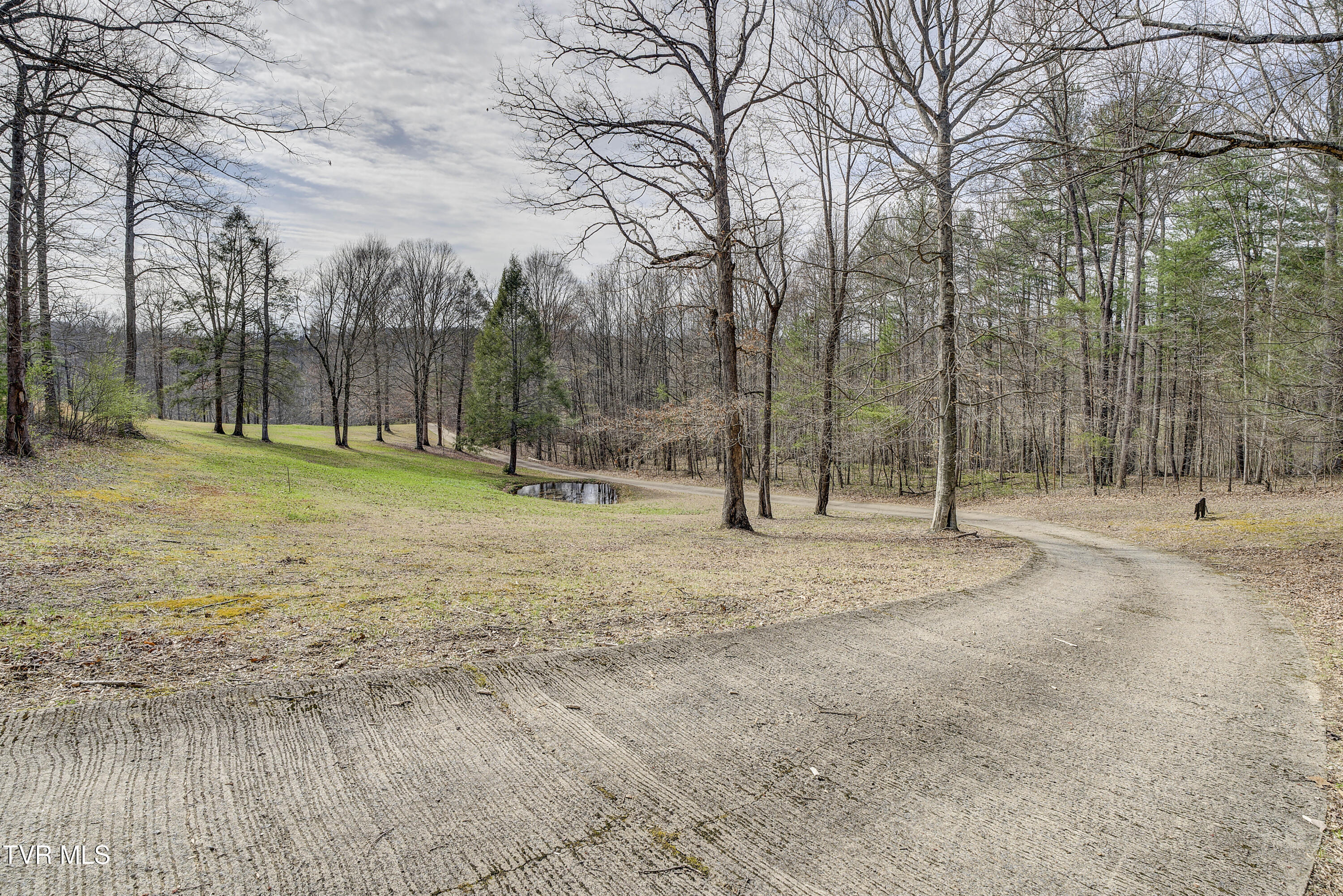 1820 Frank Roberts Road Afton, TN 37616 - Photo 42 of 63 FrankRoberts-18