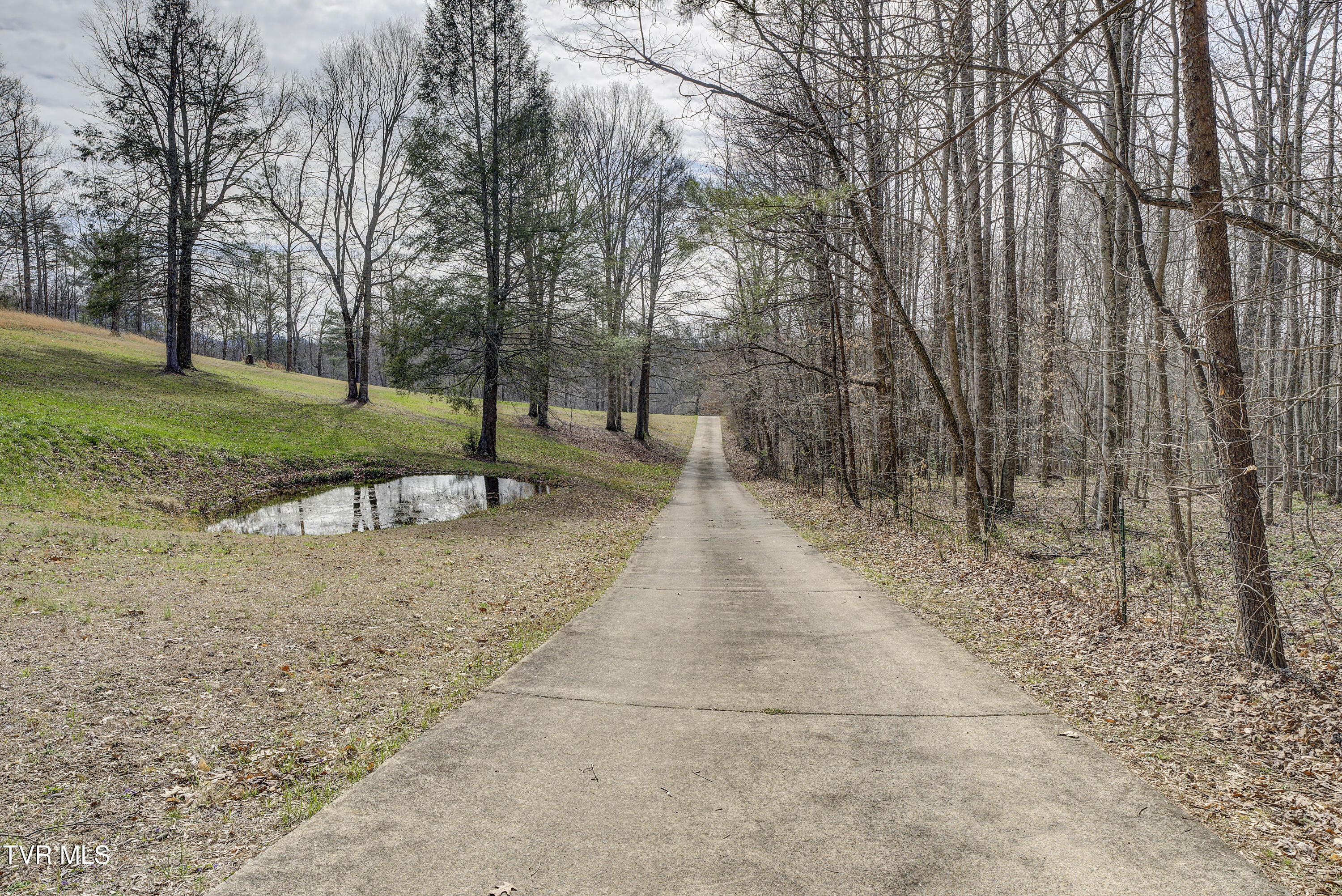 1820 Frank Roberts Road Afton, TN 37616 - Photo 43 of 63 FrankRoberts-19