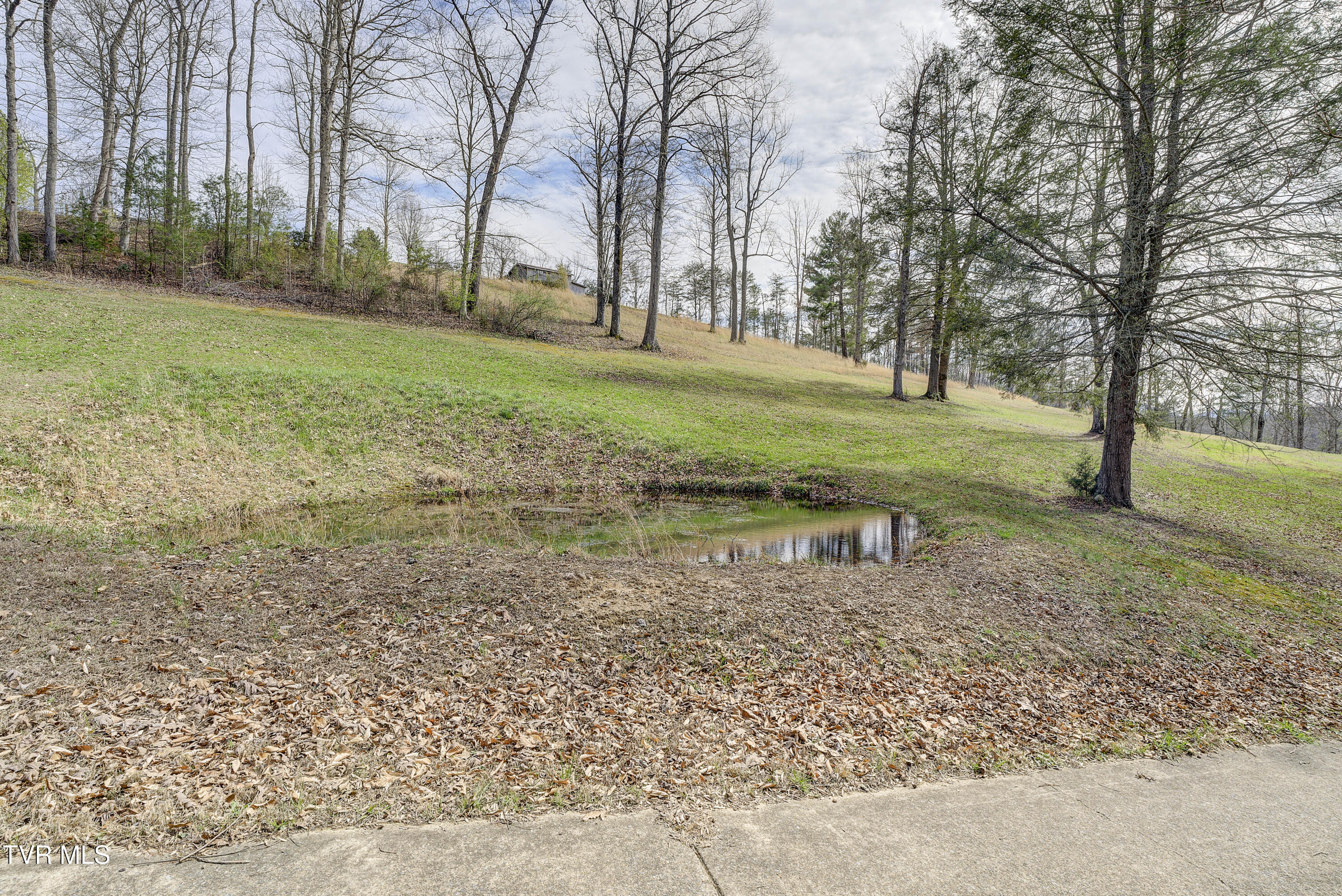 1820 Frank Roberts Road Afton, TN 37616 - Photo 44 of 63 FrankRoberts-20