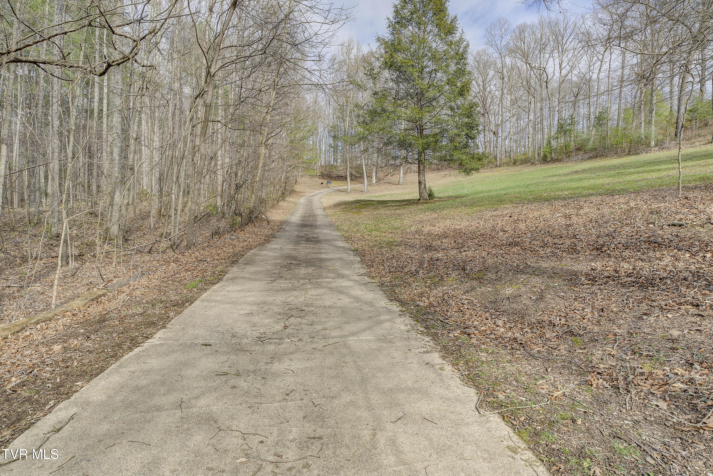 1820 Frank Roberts Road Afton, TN 37616 - Photo 45 of 63 FrankRoberts-21