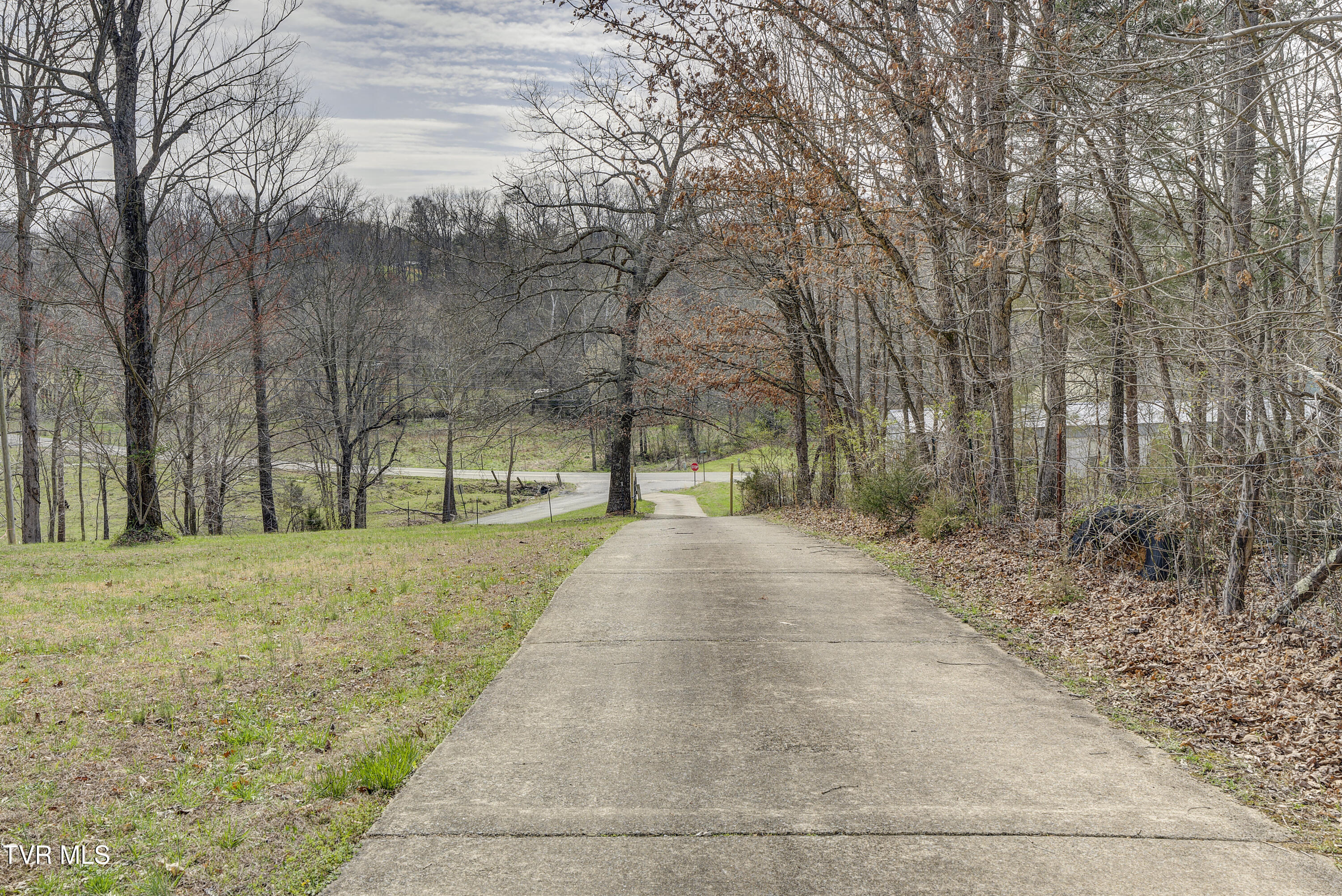 1820 Frank Roberts Road Afton, TN 37616 - Photo 46 of 63 FrankRoberts-22
