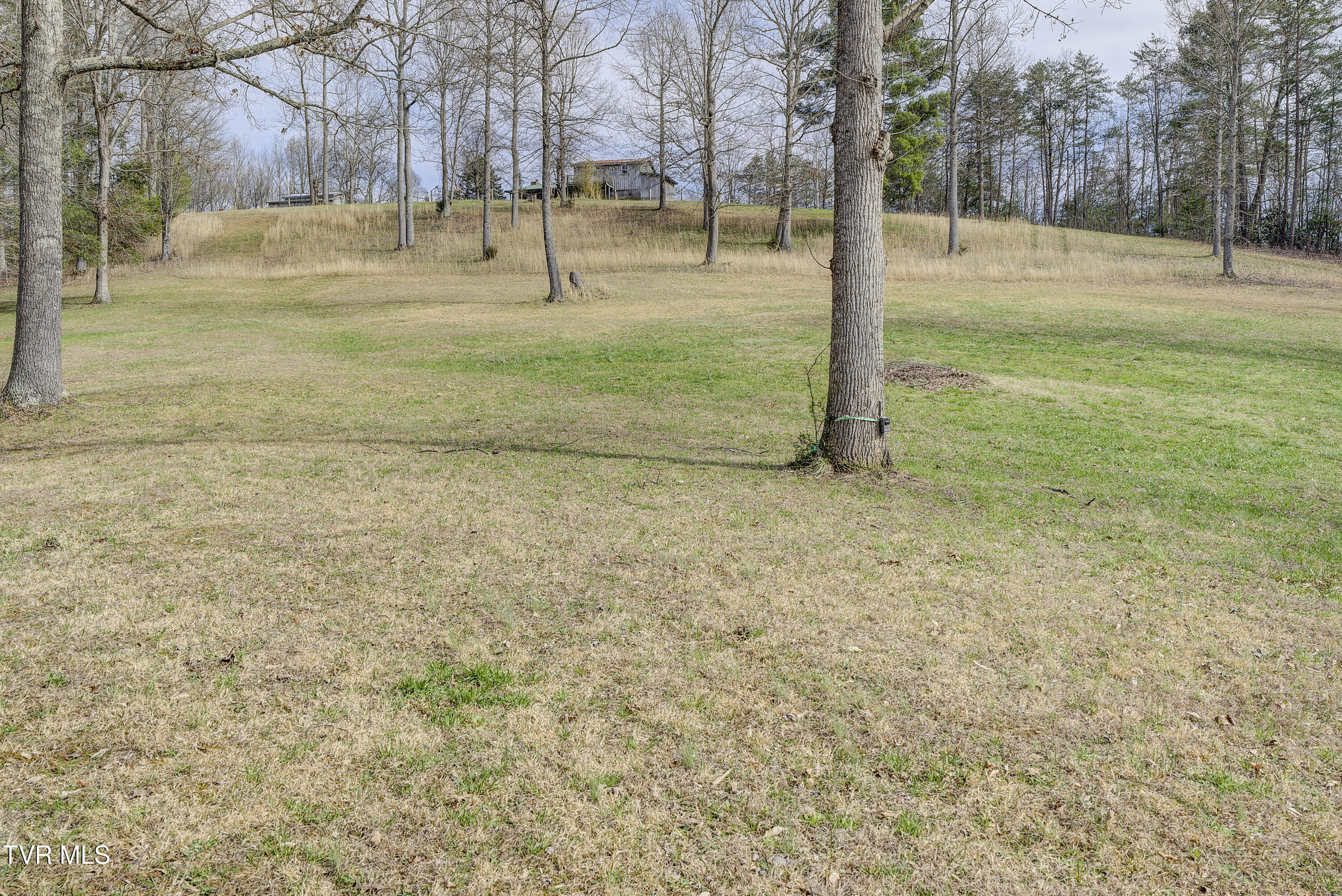 1820 Frank Roberts Road Afton, TN 37616 - Photo 47 of 63 FrankRoberts-23