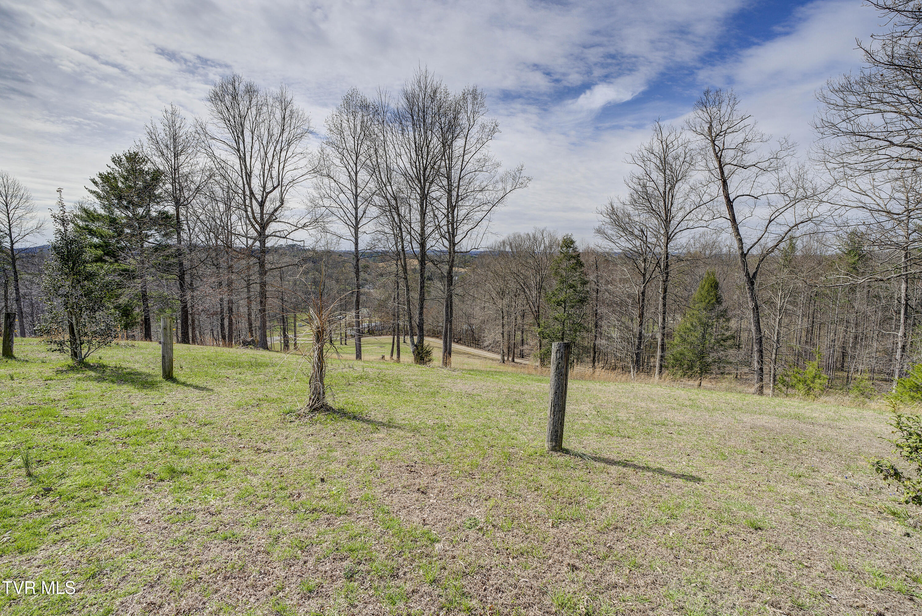 1820 Frank Roberts Road Afton, TN 37616 - Photo 48 of 63 FrankRoberts-24