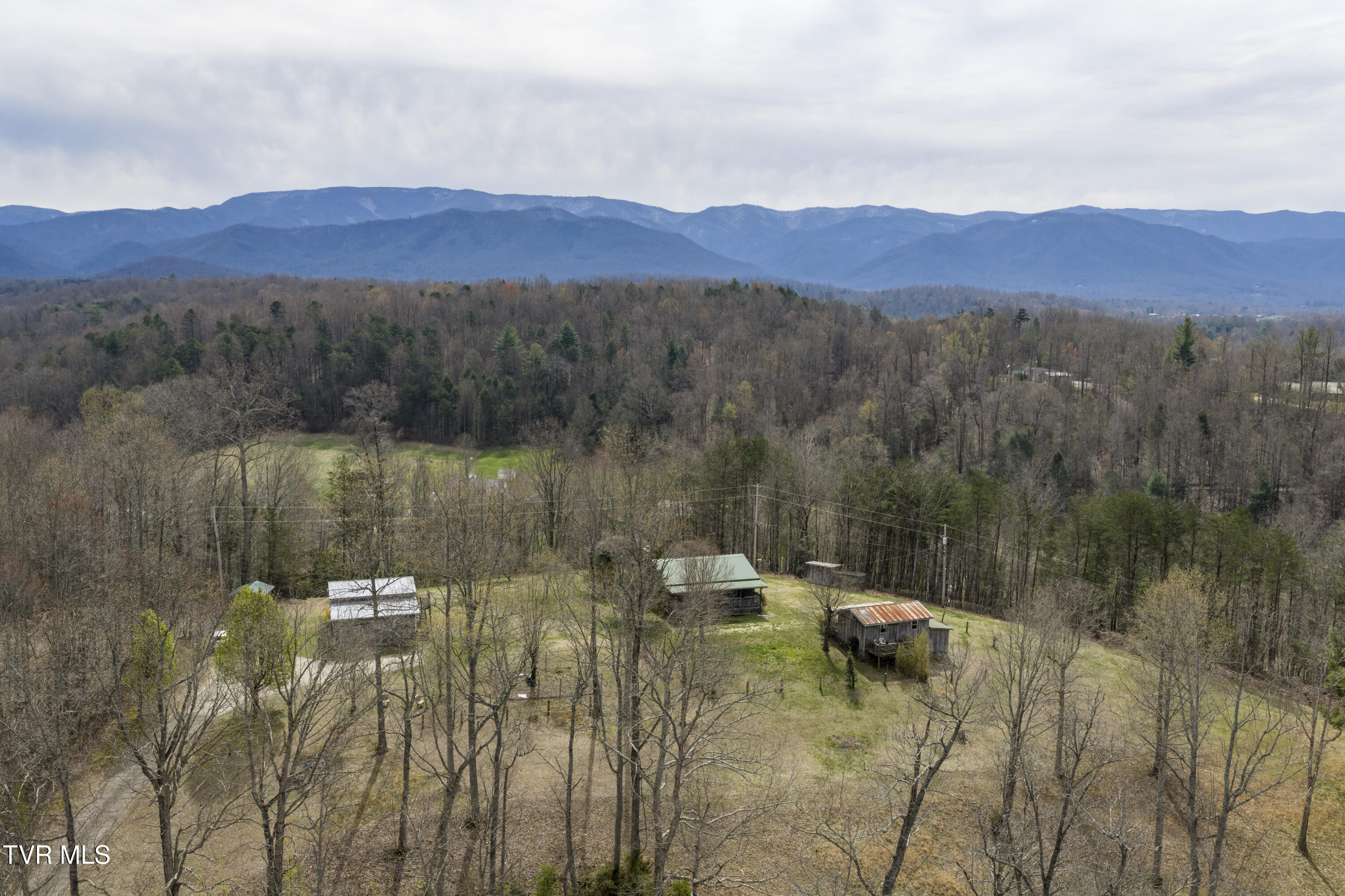 1820 Frank Roberts Road Afton, TN 37616 - Photo 49 of 63 Frank-Aerials-2