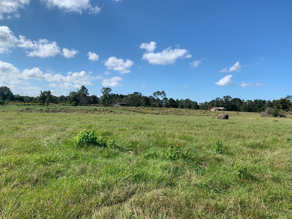 . Dee Toney Road Jayess, MS 39641 - Photo 3 of 11 Photo 3