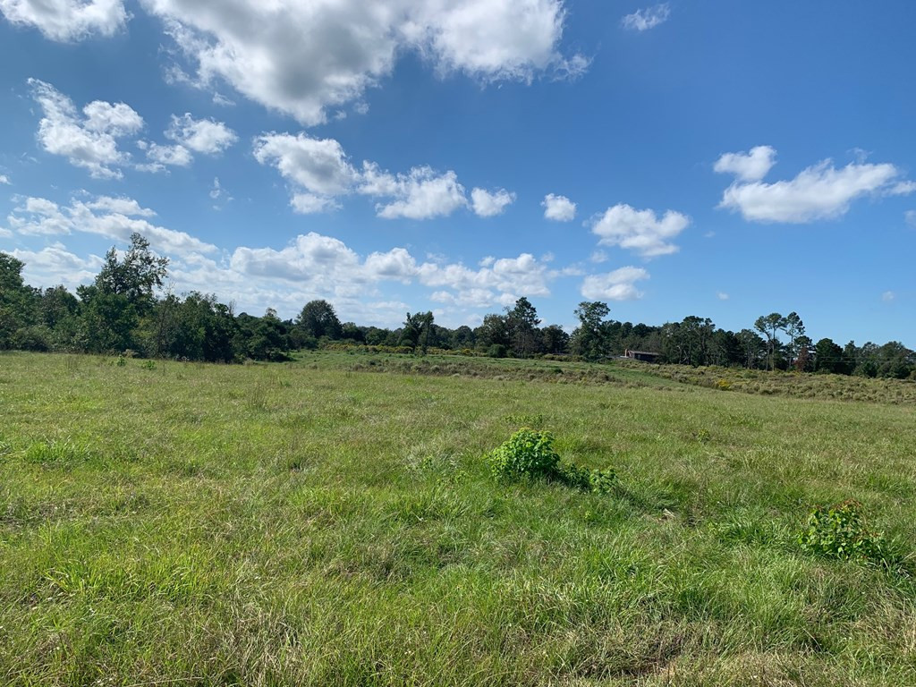 . Dee Toney Road Jayess, MS 39641 - Photo 4 of 11 Photo 4