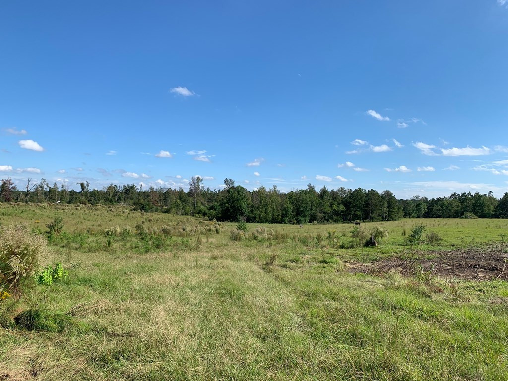 . Dee Toney Road Jayess, MS 39641 - Photo 6 of 11 Photo 6