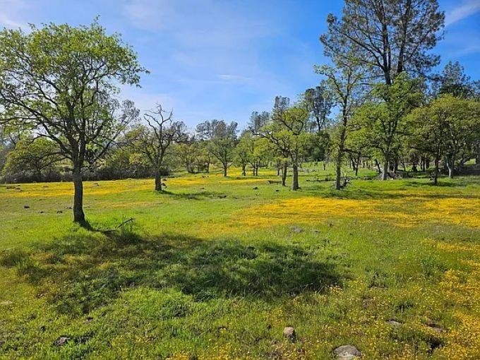 27655 Wildcat Road Shingletown, CA 96088 - Photo 10 of 21