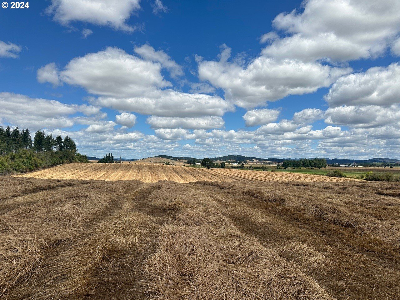 East Ellendale Avenue, Unit 1402 Dallas, OR 97338 - Photo 6 of 6 a view of an ocean and beach