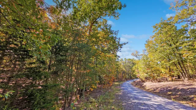 a view of a plants with trees in the background