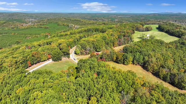 a view of a city with lush green forest