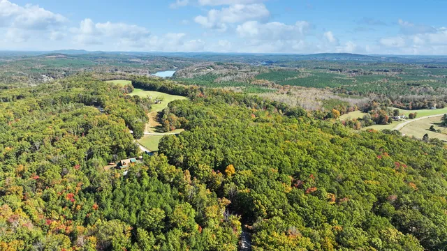 a view of a city with lush green forest