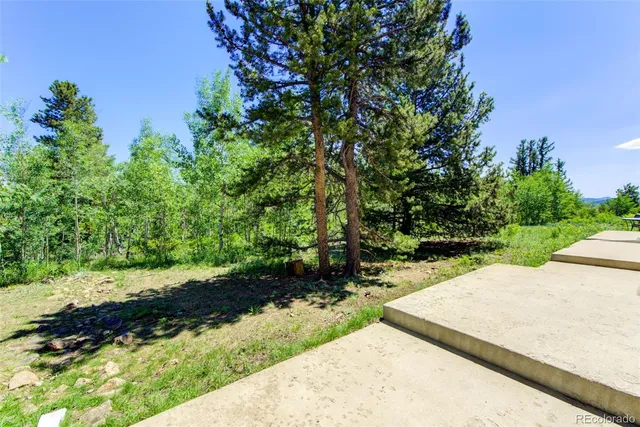 a view of a backyard