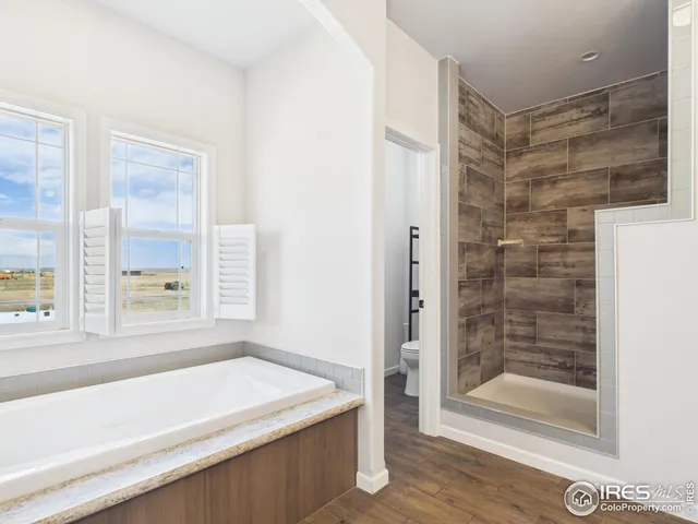 a bathroom with a bathtub and a shower