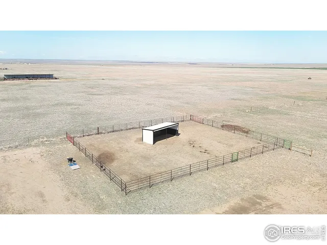 a black and white photo of a lake