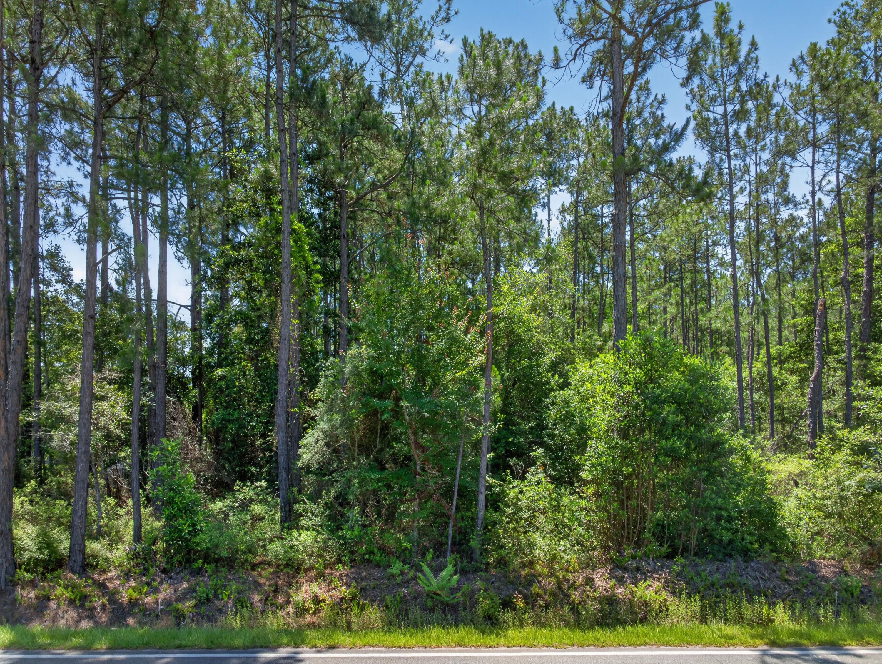 1.19-acres Mary Kitchens Road Milton, FL 32583 - Photo 8 of 10 Lot 6 MK 5
