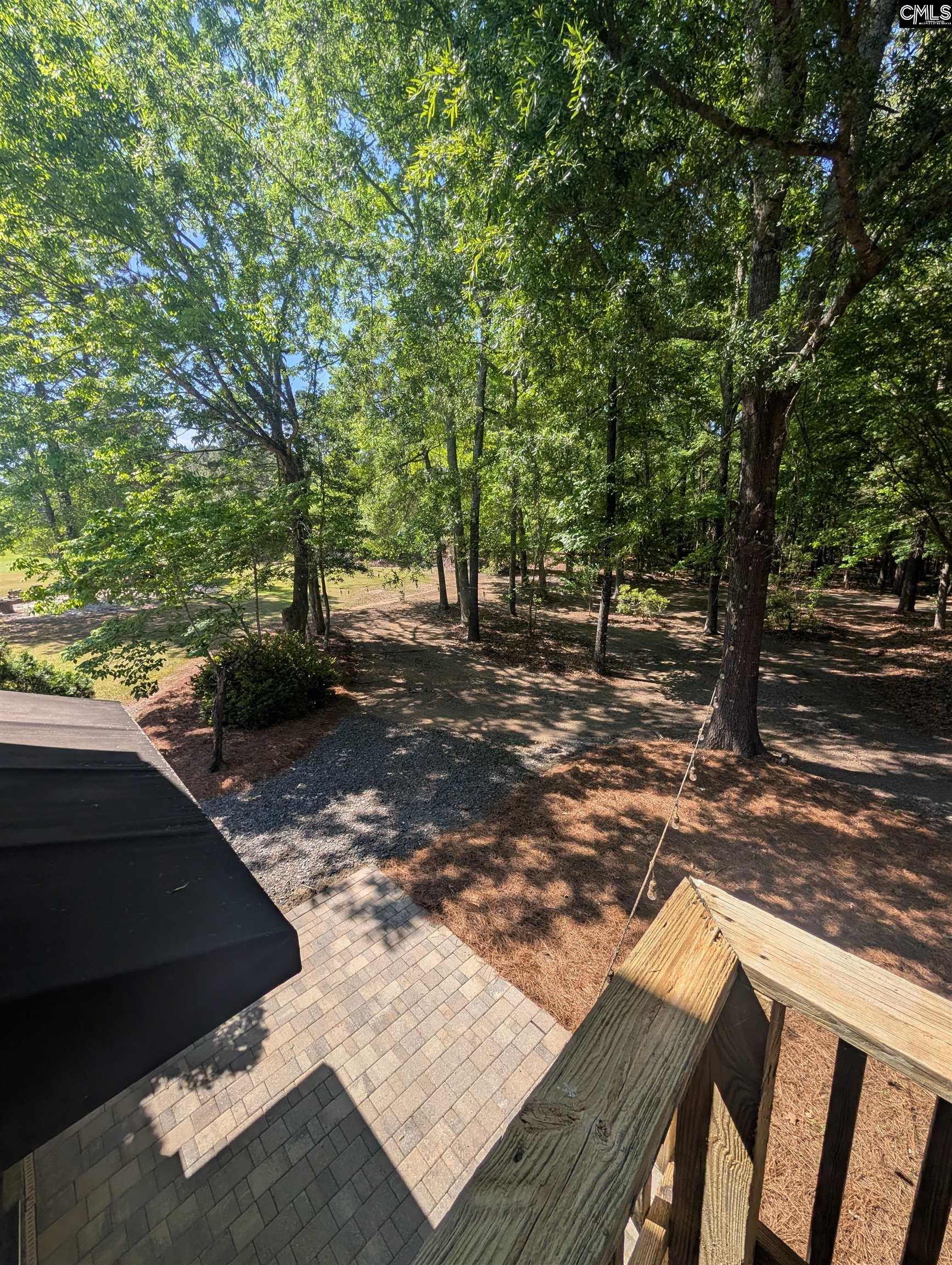 1121 Canterfield Road Chapin, SC 29036 - Photo 29 of 50