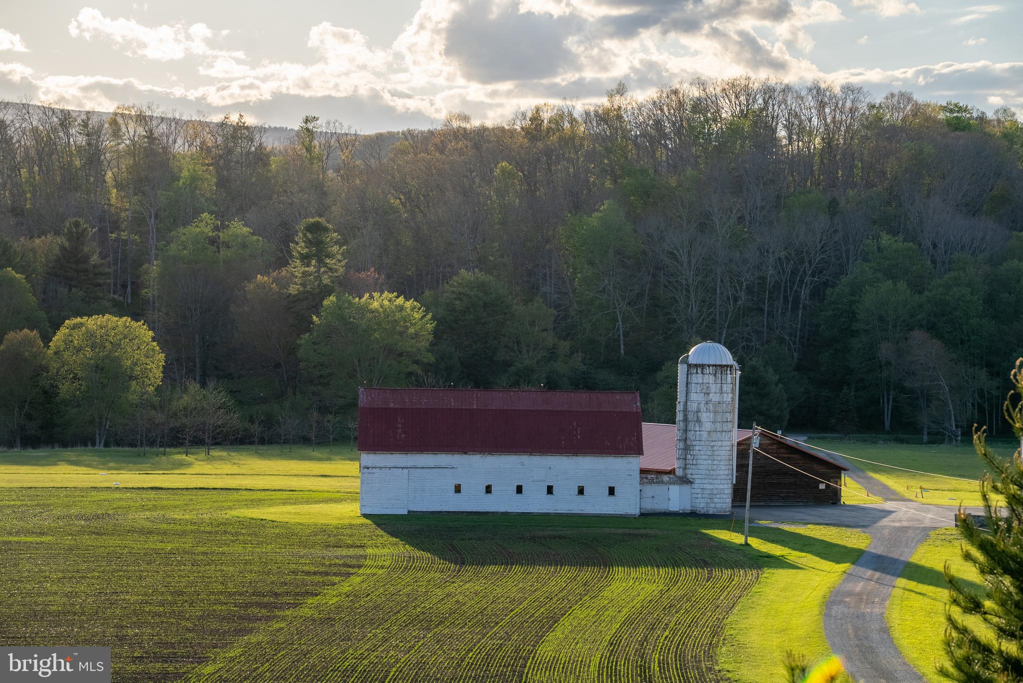 199 Green Bank Road Arbovale, WV 24915 - Photo 45 of 113