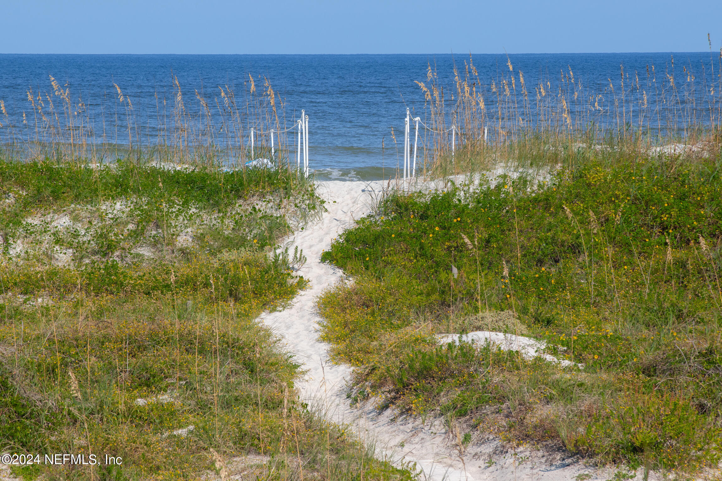 2233 Seminole Road, Unit 4 Atlantic Beach, FL 32233 - Photo 4 of 44 2233 Seminole Rd - WebSized-38