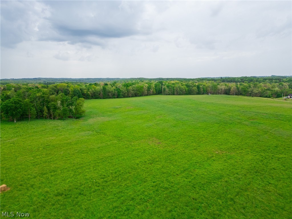 Emerick Road Summitville, OH 43962 - Photo 5 of 47