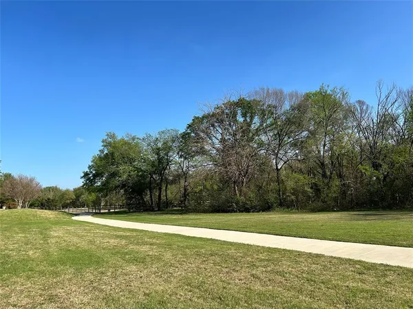 a view of a yard with a trees